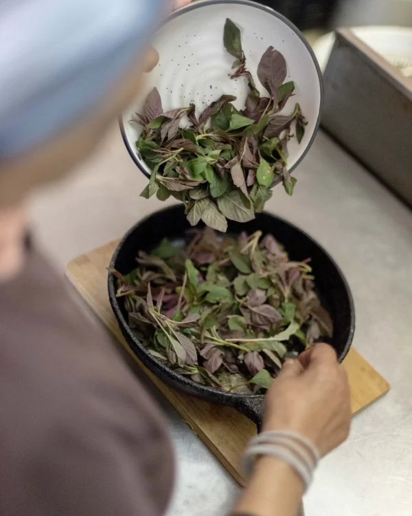 Gesund & Bewusst mit Leichtigkeit durchs leben | Mensch & Raum | GesundSein Coach | Ernärhung